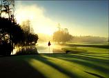 Innisbrook Resort Golf photo